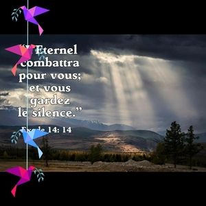 Meet your Posher, Dougny